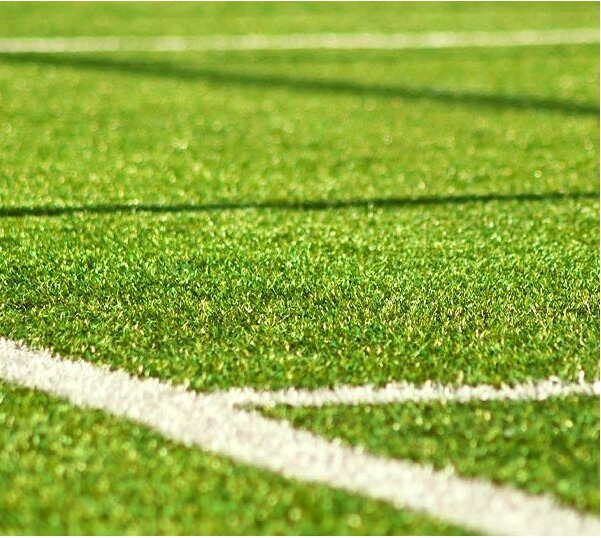 Pasto Recreativo