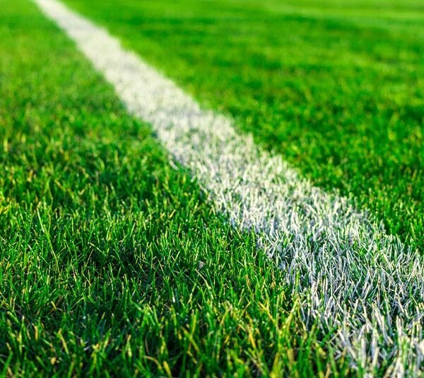 Pasto deportivo Monofilamento