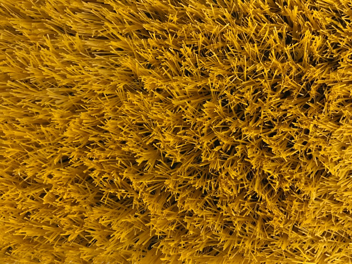 Pasto Recreativo AMARILLO