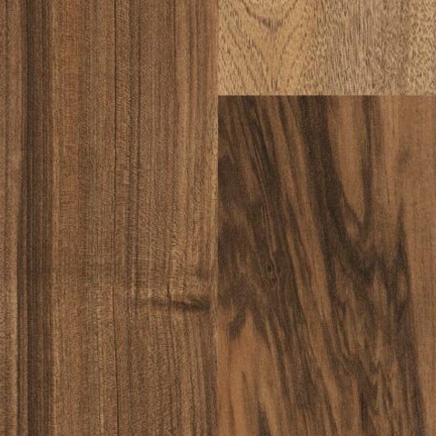 Australian Walnut