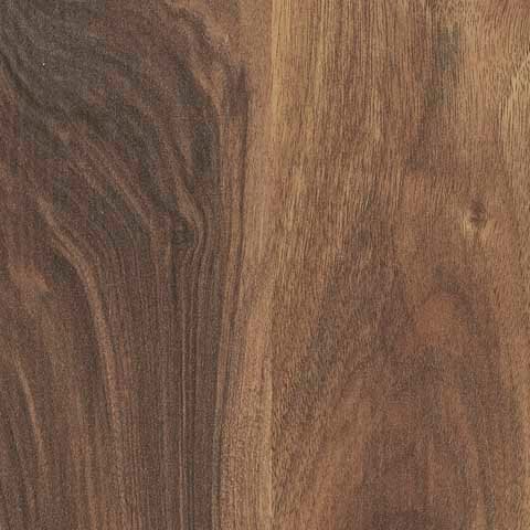 Australian Walnut Splash