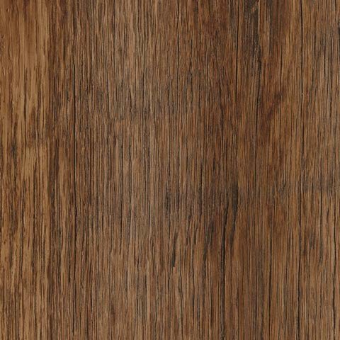 Golden OAK Splash