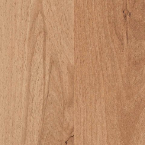 Mountain Beech Splash